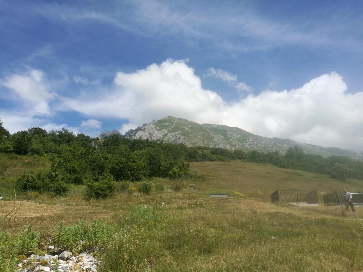 Camp Volujak 외부 사진